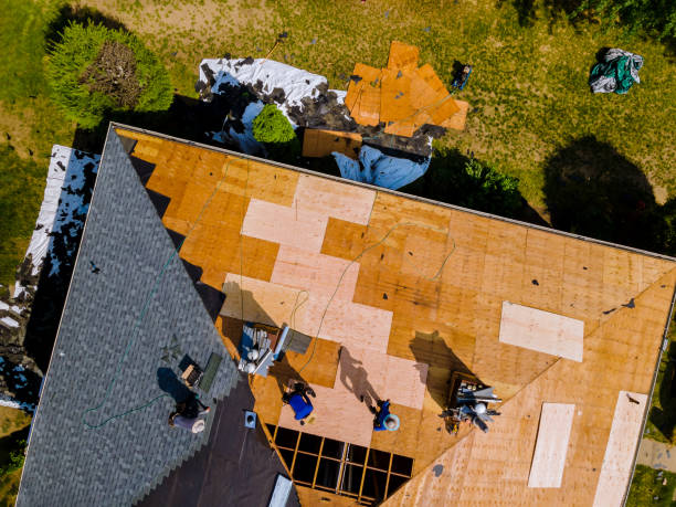 Best Emergency Roof Repair  in Peosta, IA
