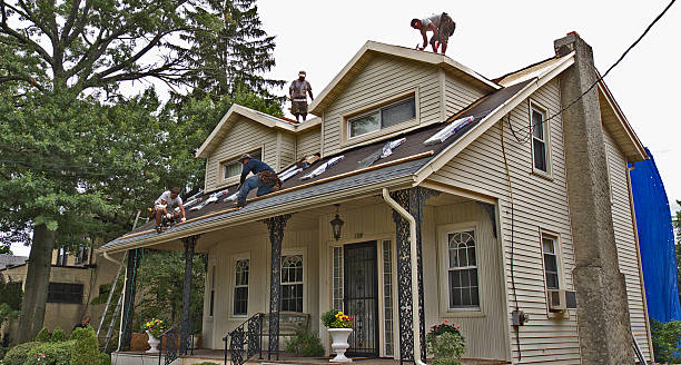 Quick and Trustworthy Emergency Roof Repair Services in Peosta, IA